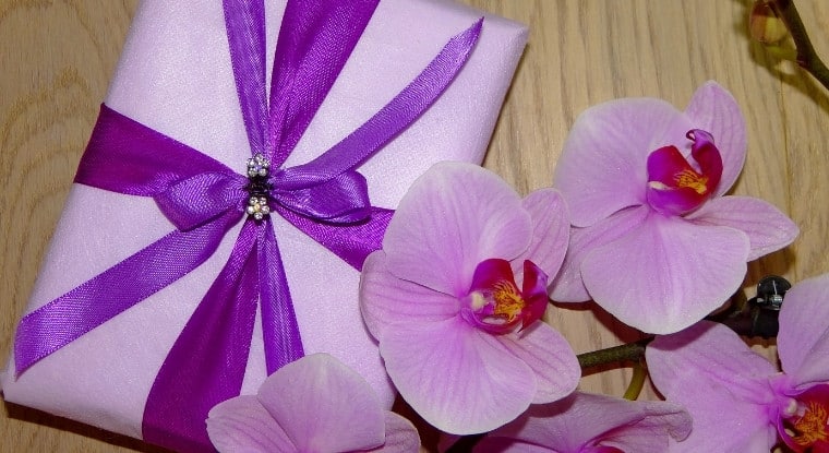 Are Orchids a Good Gift